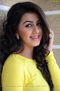 Nikki Galrani HQ Photos