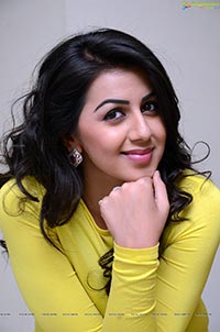 Nikki Galrani HQ Photos