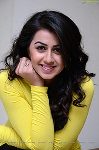 Nikki Galrani HQ Photos