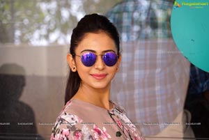 Rakul Preet Singh HQ Photos