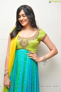 Adah Sharma Photos