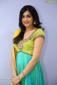 Adah Sharma Photos