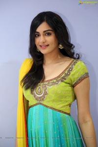 Adah Sharma Photos