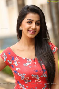 Nikki Galrani Photos