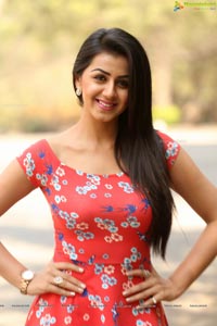 Nikki Galrani Photos