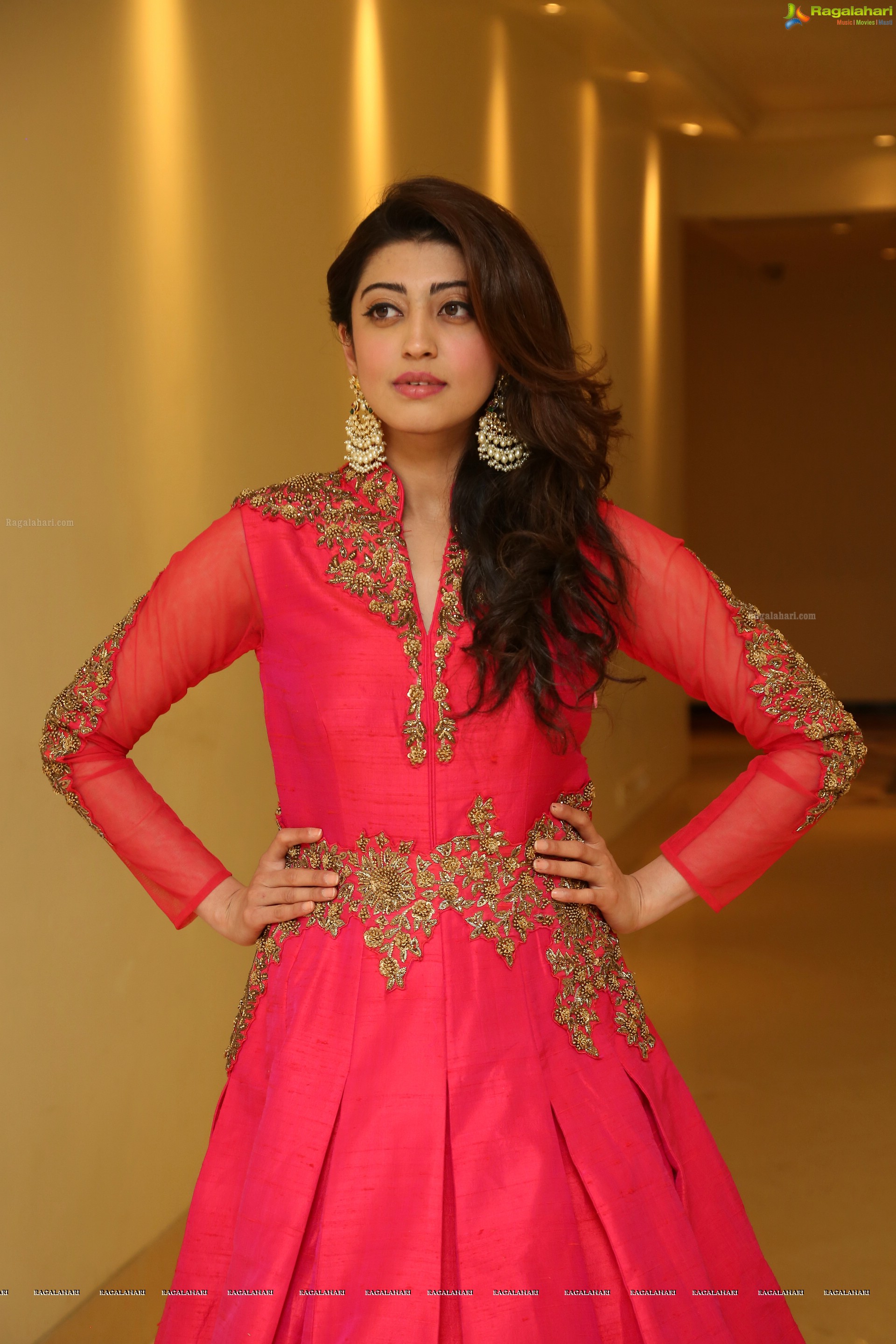 Pranitha Subhash (High Definition)