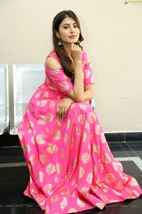 Telugu Actress Swetha