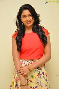 Chennai Chinnodu Heroine Sneha