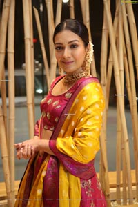 Catherine Tresa at World famous Lover Pre-Release