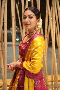 Catherine Tresa at World famous Lover Pre-Release