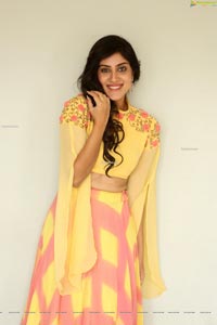 Dhanya Balakrishna at AOAO Press Meet