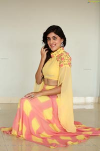 Dhanya Balakrishna at AOAO Press Meet