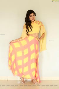 Dhanya Balakrishna at AOAO Press Meet