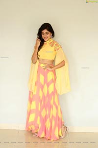 Dhanya Balakrishna at AOAO Press Meet