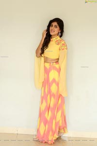 Dhanya Balakrishna at AOAO Press Meet