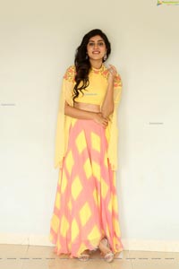 Dhanya Balakrishna at AOAO Press Meet