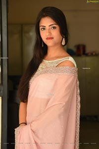 Bhawna Choudhary at Software Blues Movie Press Meet