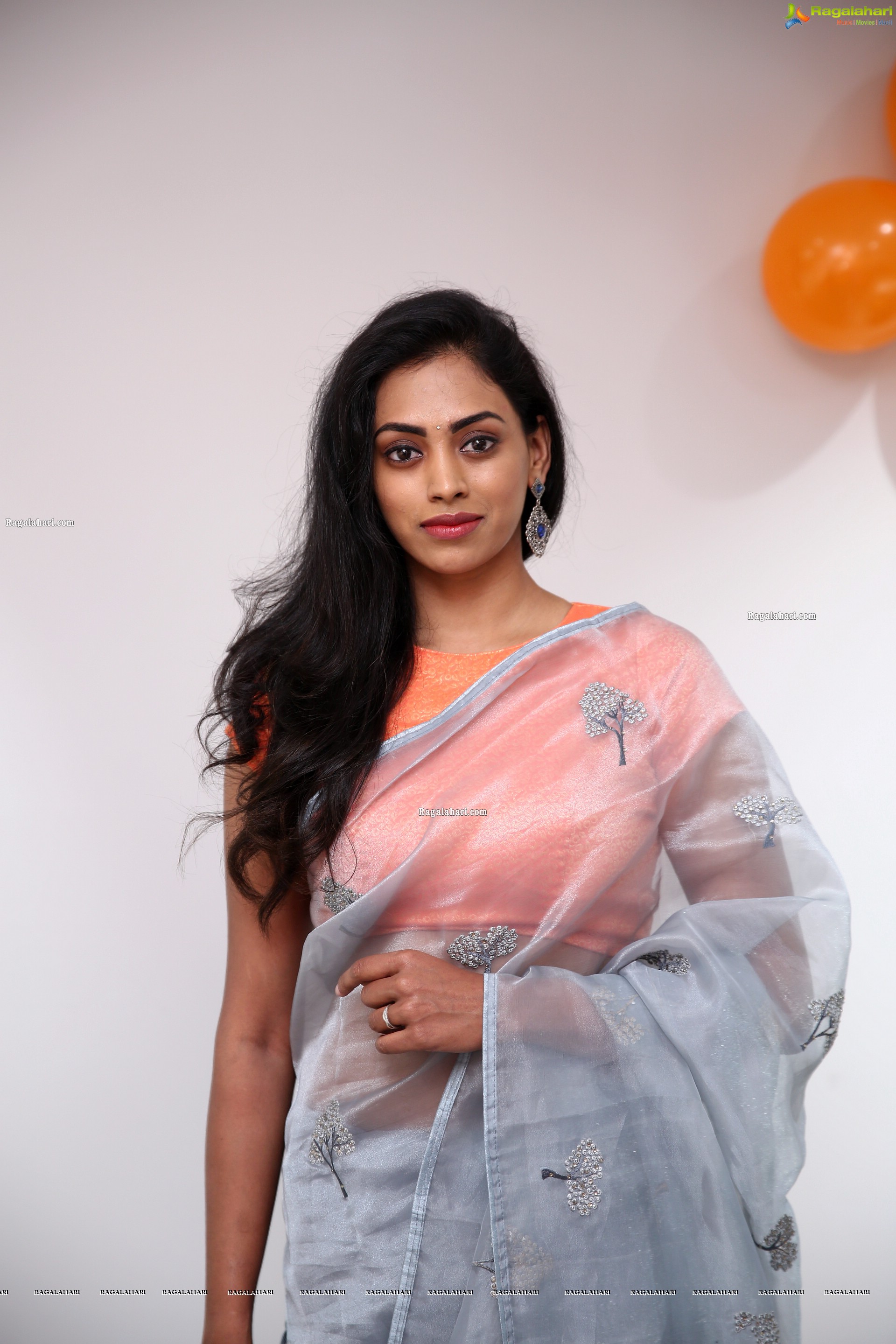 Kamakshi Bhaskarla In Silver Gray Saree, HD Photo Gallery