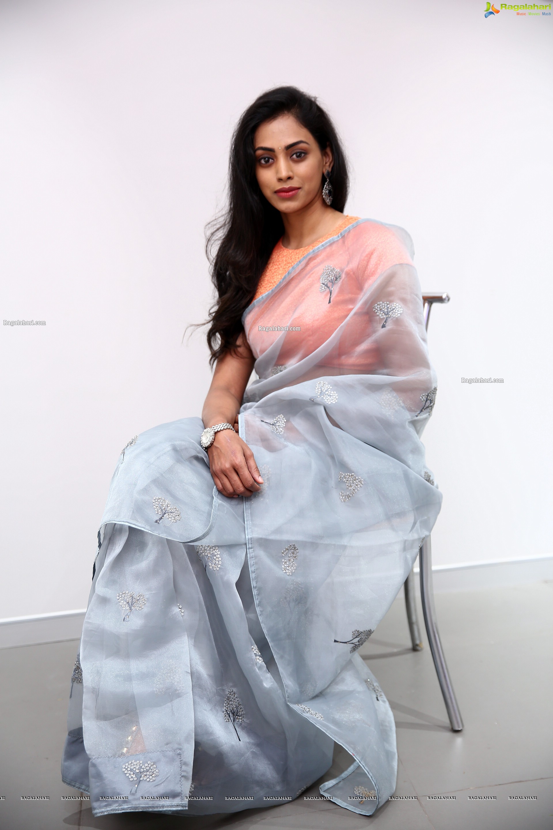 Kamakshi Bhaskarla In Silver Gray Saree, HD Photo Gallery