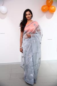 Kamakshi Bhaskarla In Silver Gray Saree
