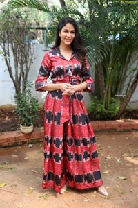 Lavanya Tripathi at A1 Express Movie Interview