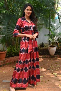 Lavanya Tripathi at A1 Express Movie Interview