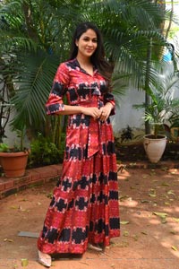 Lavanya Tripathi at A1 Express Movie Interview