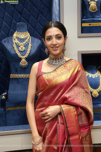 Neha Shetty Poses With Jewellery