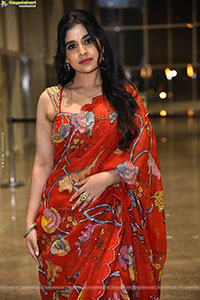 Aishwarya Hollakal at Brahma Anandam Pre Release Event