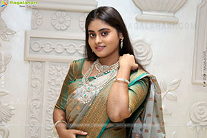 Bindhu Krishna Latest Stills in Saree, HD Gallery