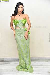 Ankita Jadhav at Nuvve Undipo ila Song Launch, HD Gallery