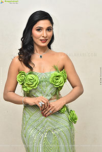 Ankita Jadhav at Nuvve Undipo ila Song Launch, HD Gallery