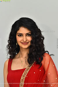 Manasa Varanasi at Couple Friendly Movie Press Meet