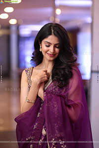 Manasa Varanasi Beautiful Stills in Saree, HD Gallery