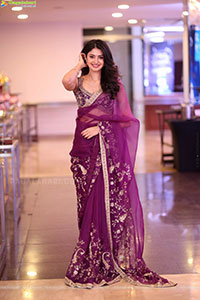 Manasa Varanasi Beautiful Stills in Saree, HD Gallery