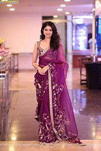 Manasa Varanasi Beautiful Stills in Saree, HD Gallery