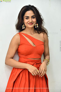Teju Ashwini at Nawab Cafe Press Meet, HD Gallery