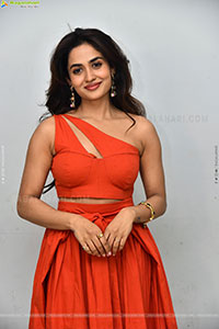Teju Ashwini at Nawab Cafe Press Meet, HD Gallery