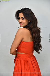 Teju Ashwini at Nawab Cafe Press Meet, HD Gallery