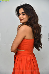 Teju Ashwini at Nawab Cafe Press Meet, HD Gallery