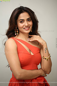 Teju Ashwini at Nawab Cafe Press Meet, HD Gallery