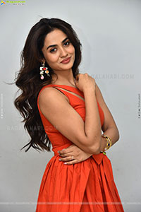 Teju Ashwini at Nawab Cafe Press Meet, HD Gallery