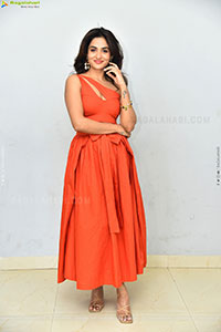 Teju Ashwini at Nawab Cafe Press Meet, HD Gallery