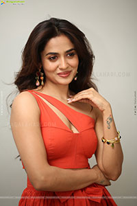 Teju Ashwini at Nawab Cafe Press Meet, HD Gallery