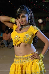 Arthi Puri Spicy Photo Gallery