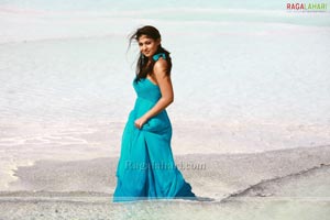 Nayanatara Photo Gallery