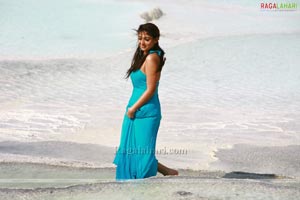 Nayanatara Photo Gallery