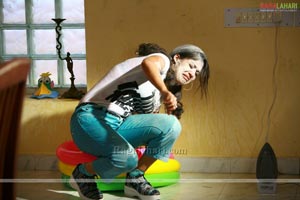 Nayanatara Photo Gallery