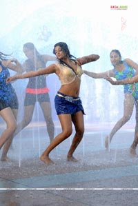 Priyamani Spicy Gallery from Drona
