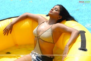 Priyamani Bikini Photo Gallery